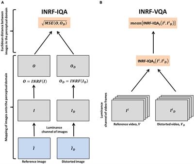 State-of-the-art image and video quality assessment with a metric based on an intrinsically non-linear neural summation model